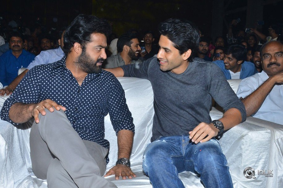 Mr-Majnu-Movie-Pre-Release-Event-Photos